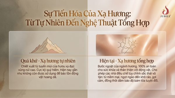 nuoc-hoa-xa-huong-la-gi-4