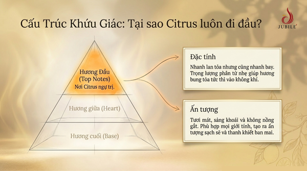 citrus-la-gi-bi-mat-mui-huong-thanh-mat-cho-mua-he