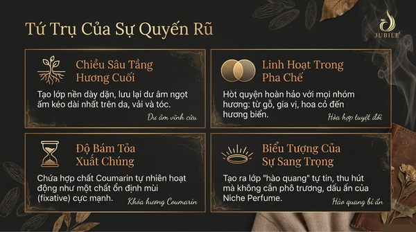 nuoc-hoa-mui-dau-tonka
