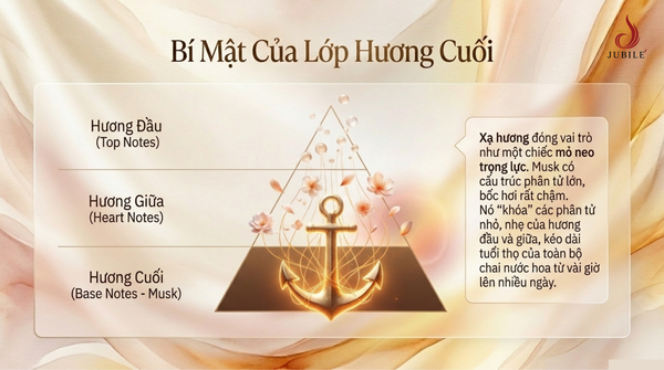nuoc-hoa-xa-huong-la-gi-4