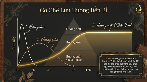 nuoc-hoa-mui-dau-tonka