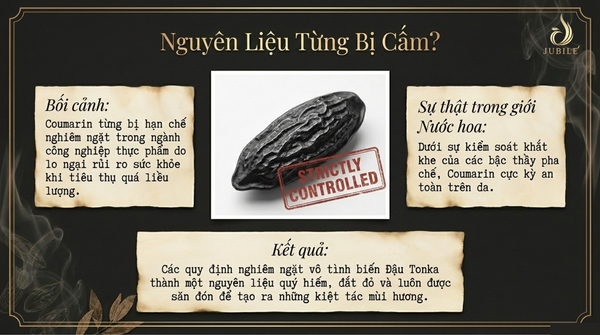 nuoc-hoa-mui-dau-tonka