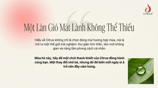 citrus-la-gi-bi-mat-mui-huong-thanh-mat-cho-mua-he