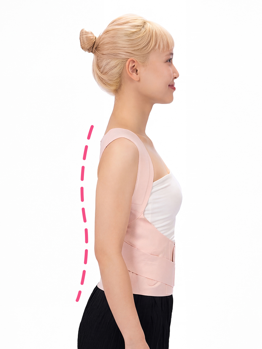 Ảnh cột sống KHỎE (PNG · 900×1200)