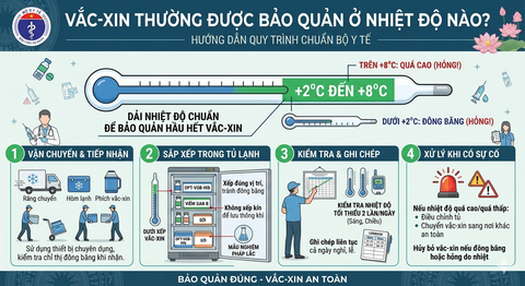 Vắc-xin Thường Được Bảo Quản Ở Nhiệt Độ Nào? Hướng Dẫn Quy Trình Chuẩn Bộ Y Tế