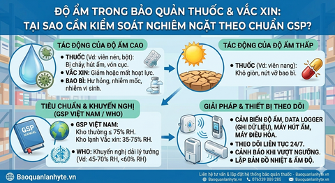 Độ Ẩm Trong Bảo Quản Thuốc & Vắc Xin: Tại Sao Cần Kiểm Soát Nghiêm Ngặt Theo Chuẩn GSP?