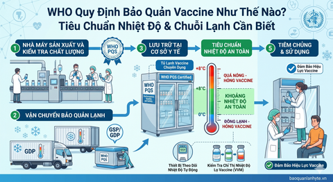 WHO Quy Định Bảo Quản Vaccine Như Thế Nào? Tiêu Chuẩn Nhiệt Độ & Chuỗi Lạnh Cần Biết