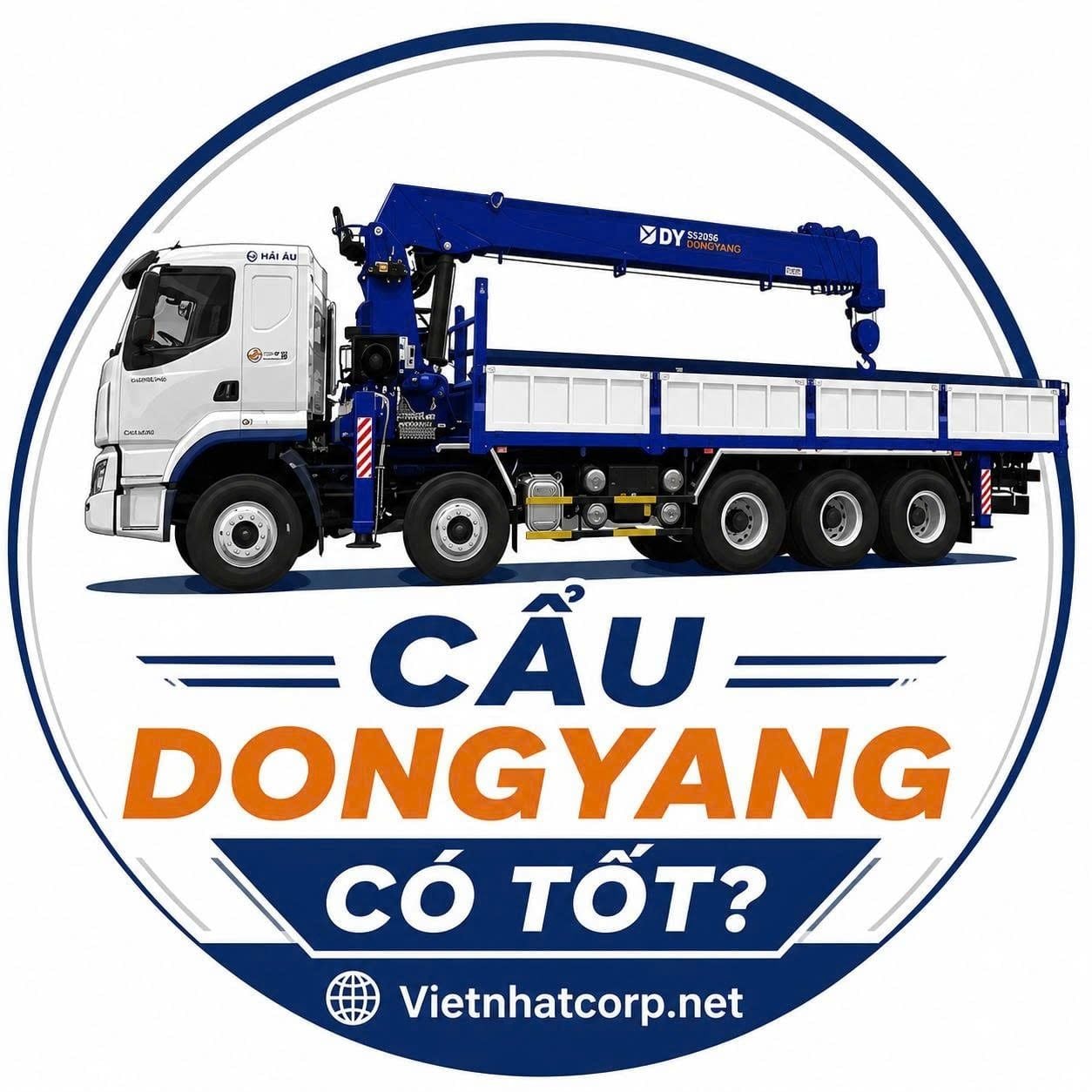 Tại sao cẩu Dongyang lại tốt?