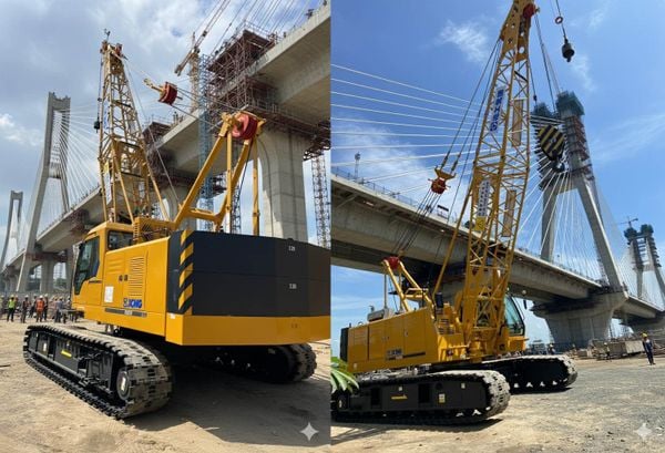 Sức mạnh cẩu bánh xích XGC50