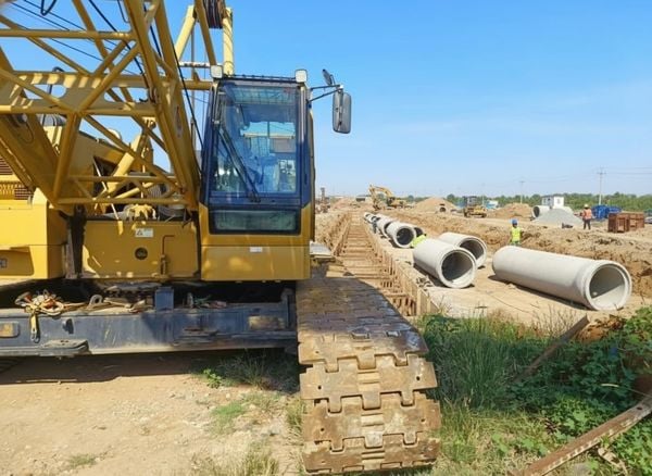 Cẩu Bánh Xích Cũ 55 Tấn XCMG XGC55 2019