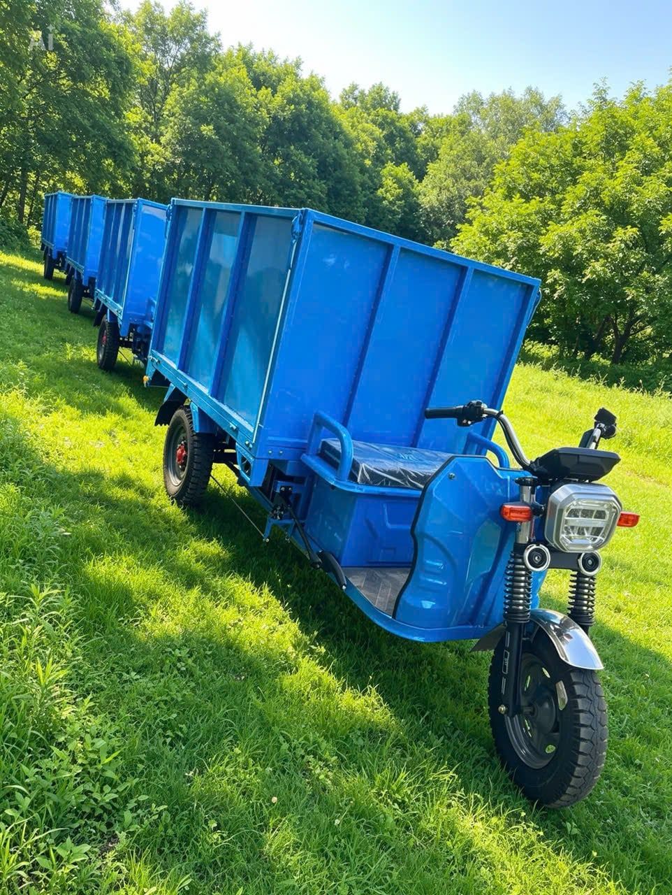 Xe môi trường chạy điện 900kg mingma