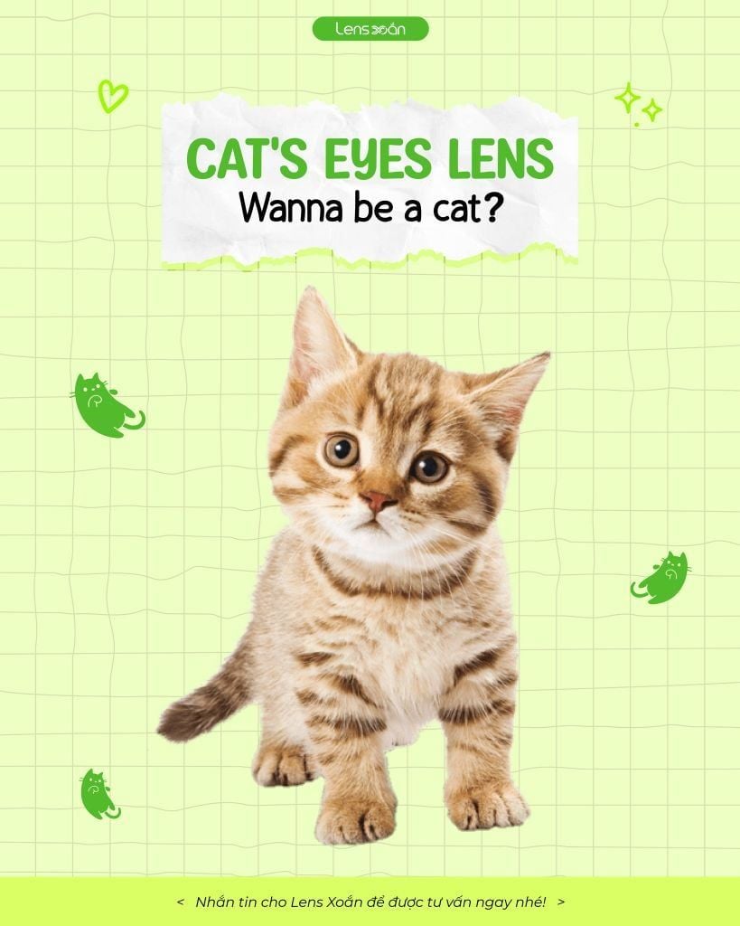 Cat's eyeis lens