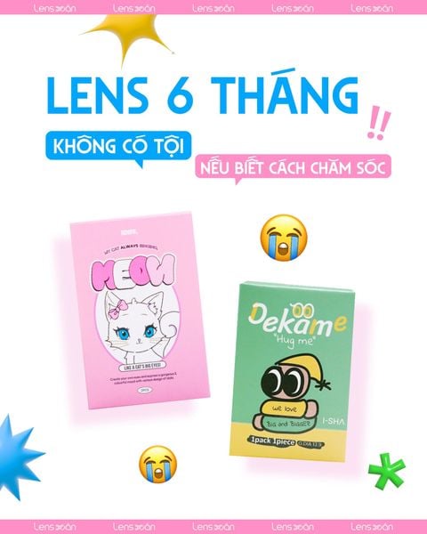 Bìa bài viết về lens 6 tháng