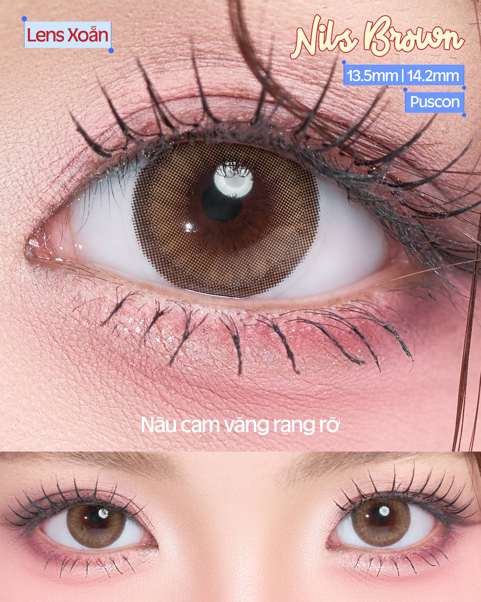 Nils Brown – OLENS – Nâu mật ong không viền trong trẻo