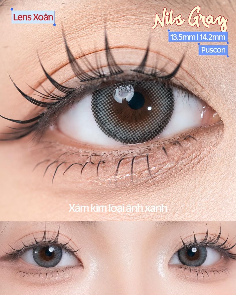 Nils Gray – OLENS – Lens xám ánh xanh trong trẻo