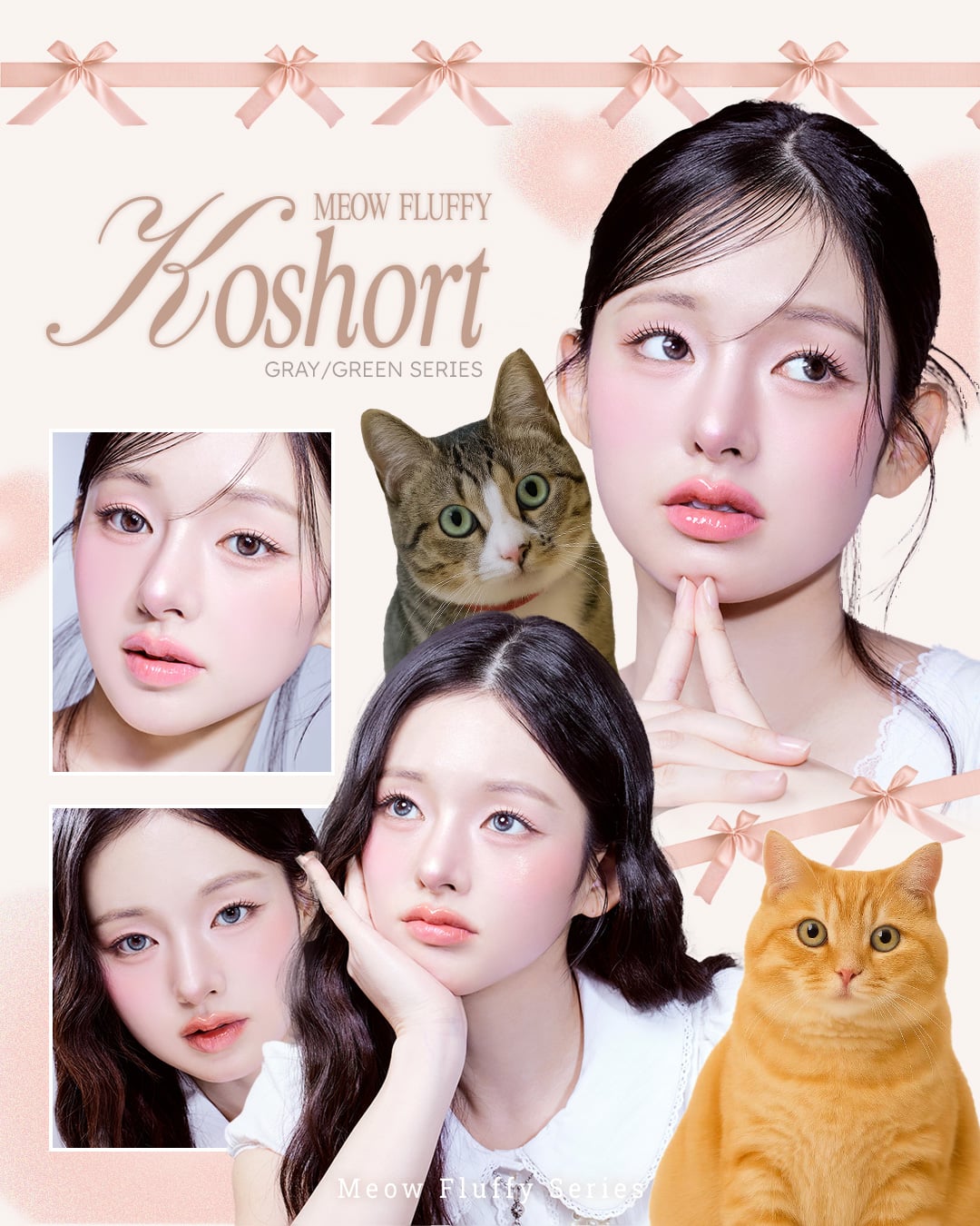 Meow Koshort Gray - IDIFF