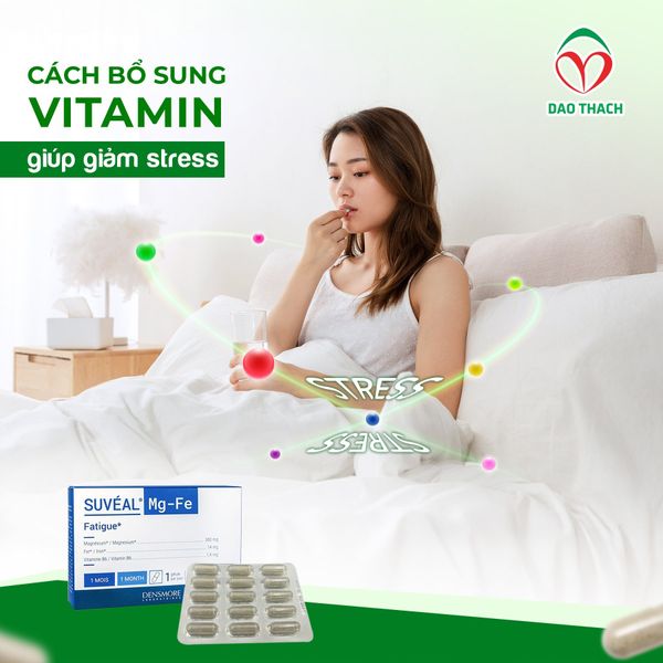 CÁCH BỔ SUNG VITAMIN GIÚP GIẢM STRESS HIỆU QUẢ – GIẢI PHÁP KHOA HỌC TỪ SUVÉAL MG-FE (Pháp)
