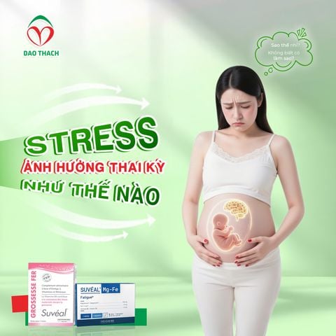 STRESS KHI MANG THAI NGUY HIỂM HƠN MẸ NGHĨ!