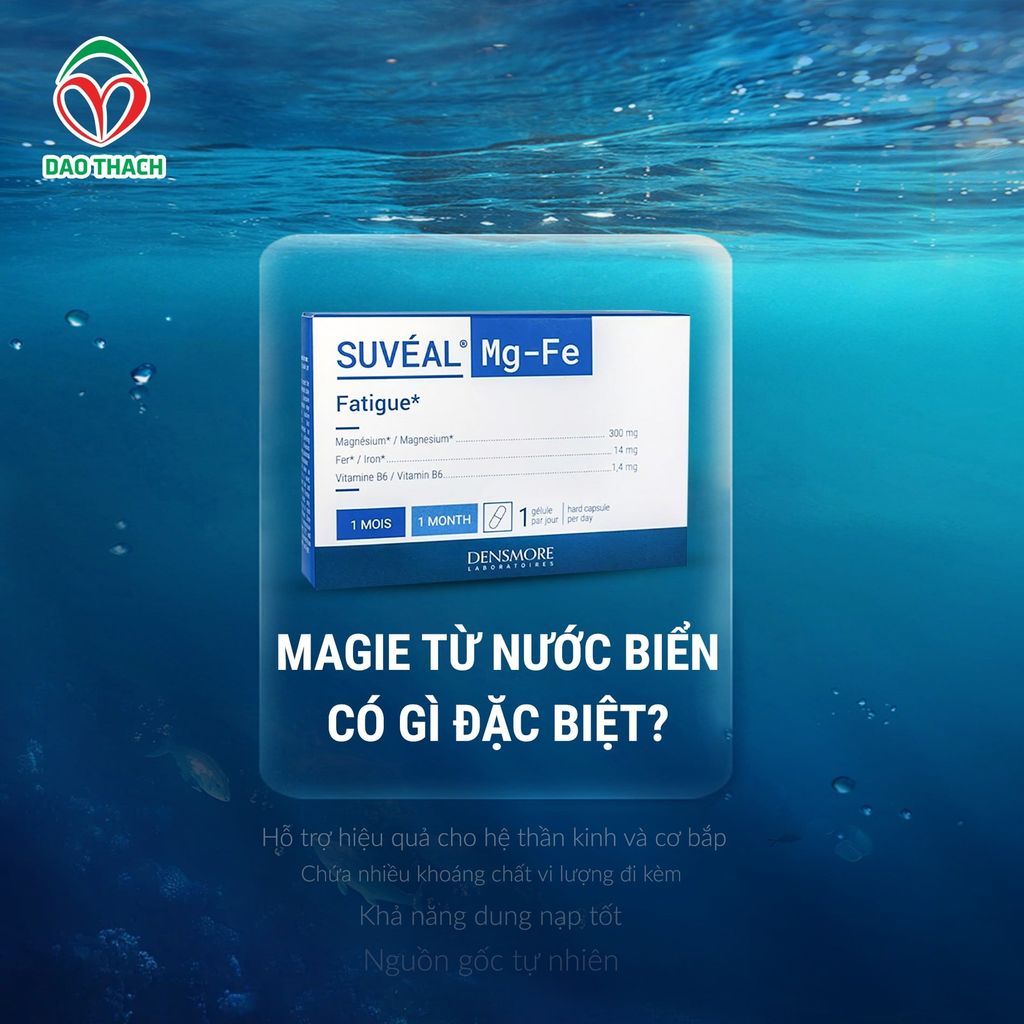 VÌ SAO MAGIE TỪ NƯỚC BIỂN ĐƯỢC NHIỀU CHUYÊN GIA ĐÁNH GIÁ CAO?