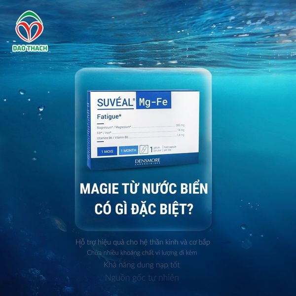 VÌ SAO MAGIE TỪ NƯỚC BIỂN ĐƯỢC NHIỀU CHUYÊN GIA ĐÁNH GIÁ CAO?