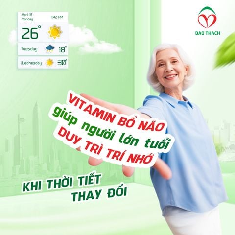 🧠 VITAMIN BỔ NÃO GIÚP NGƯỜI LỚN TUỔI DUY TRÌ TRÍ NHỚ KHI THỜI TIẾT THAY ĐỔI