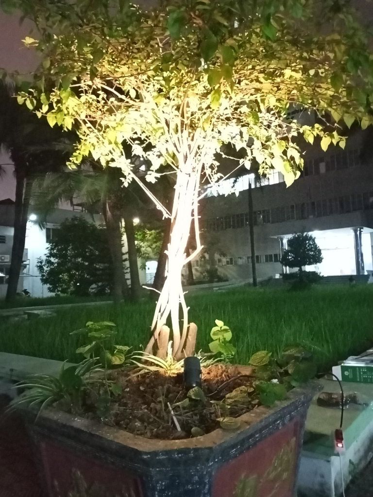 Hình ảnh sản phẩm