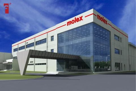 DỰ ÁN NHÀ MÁY MOLEX, ĐÔNG ANH, HÀ NỘI