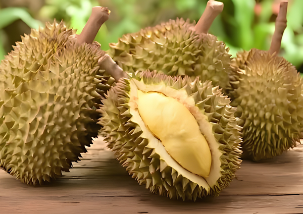 sầu ri&ecirc;ng monthong tươi
