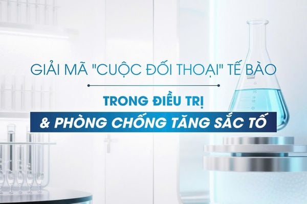 Giải mã 
