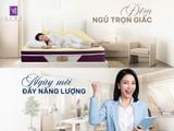 ĐÊM NGỦ TRỌN GIẤC - NGÀY MỚI ĐẦY NĂNG LƯỢNG CÙNG NỆM SAMY ROYAL