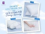 ÊM MỀM NÂNG NIU GIẤC NGỦ CÙNG GỐI LÔNG VŨ SAMY LUXURY