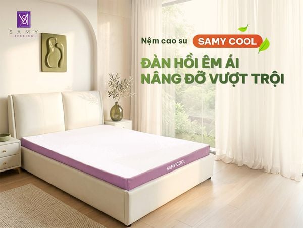 NỆM CAO SU THIÊN NHIÊN SAMY COOL - ĐÀN HỒI ÊM ÁI, NÂNG ĐỠ VƯỢT TRỘI