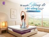 NỆM LÒ XO TÚI SAMY KING - BÍ QUYẾT NÂNG ĐỠ CỘT SỐNG ĐÚNG CÁCH MỖI ĐÊM