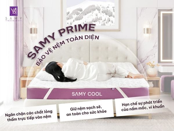 TẤM BẢO VỆ NỆM SAMY PRIME - GIẢI PHÁP BẢO VỆ NỆM TOÀN DIỆN