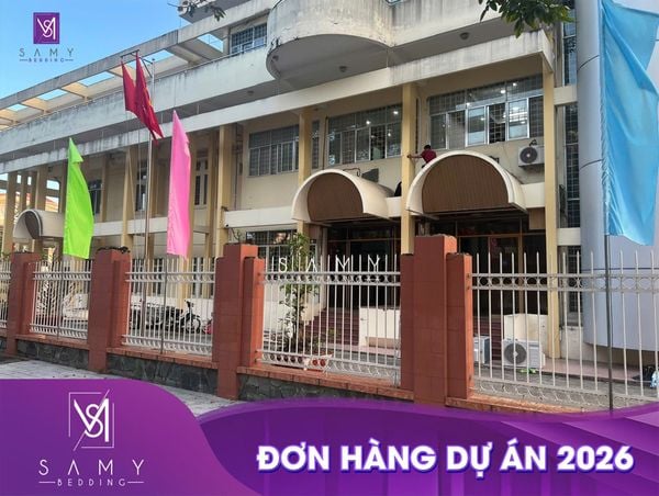 TIẾP TỤC BÀN GIAO ĐƠN HÀNG DỰ ÁN NỆM CAO SU THIÊN NHIÊN SAMY COOL TẠI TÂY NINH