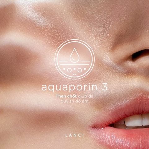 Aquaporin 3 là gì? Vì sao da không chỉ cần được cấp nước mà còn cần duy trì độ ẩm?