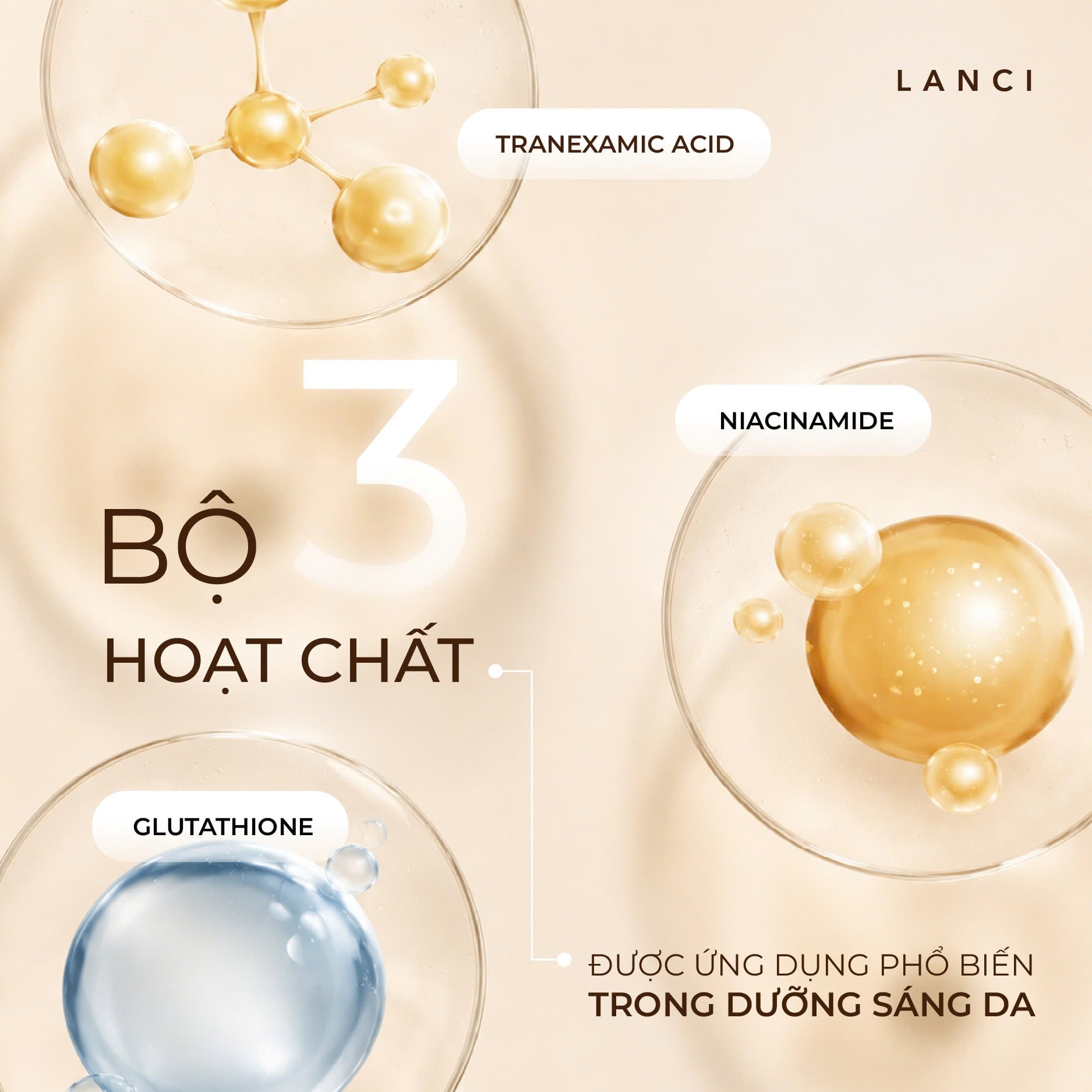 Tranexamic Acid - Niacinamide - Glutathione: Bộ ba hoạt chất được ứng dụng phổ biến trong dưỡng sáng da