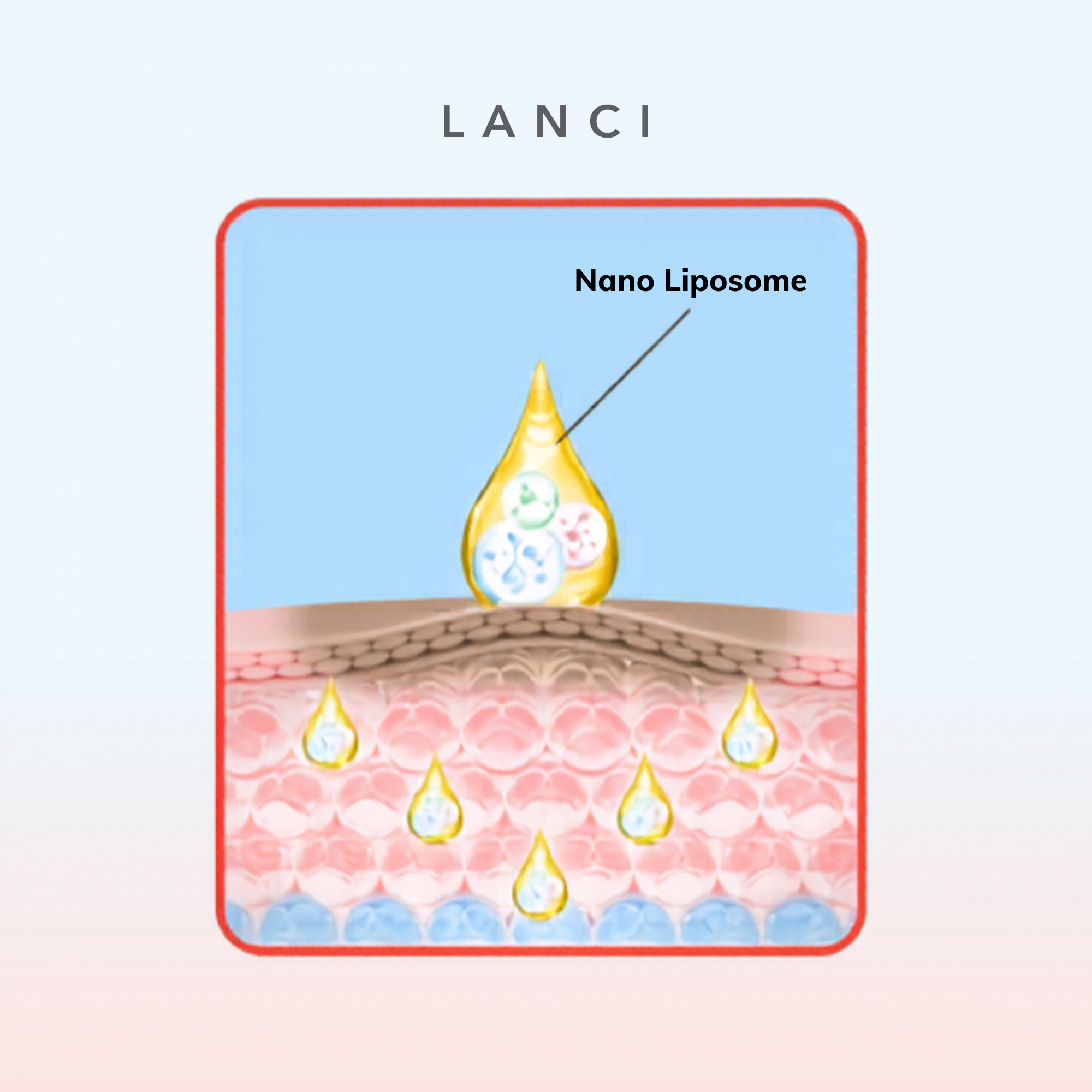 Nano Liposome là gì? Công nghệ bọc hoạt chất giúp tăng cường hiệu quả thẩm thấu