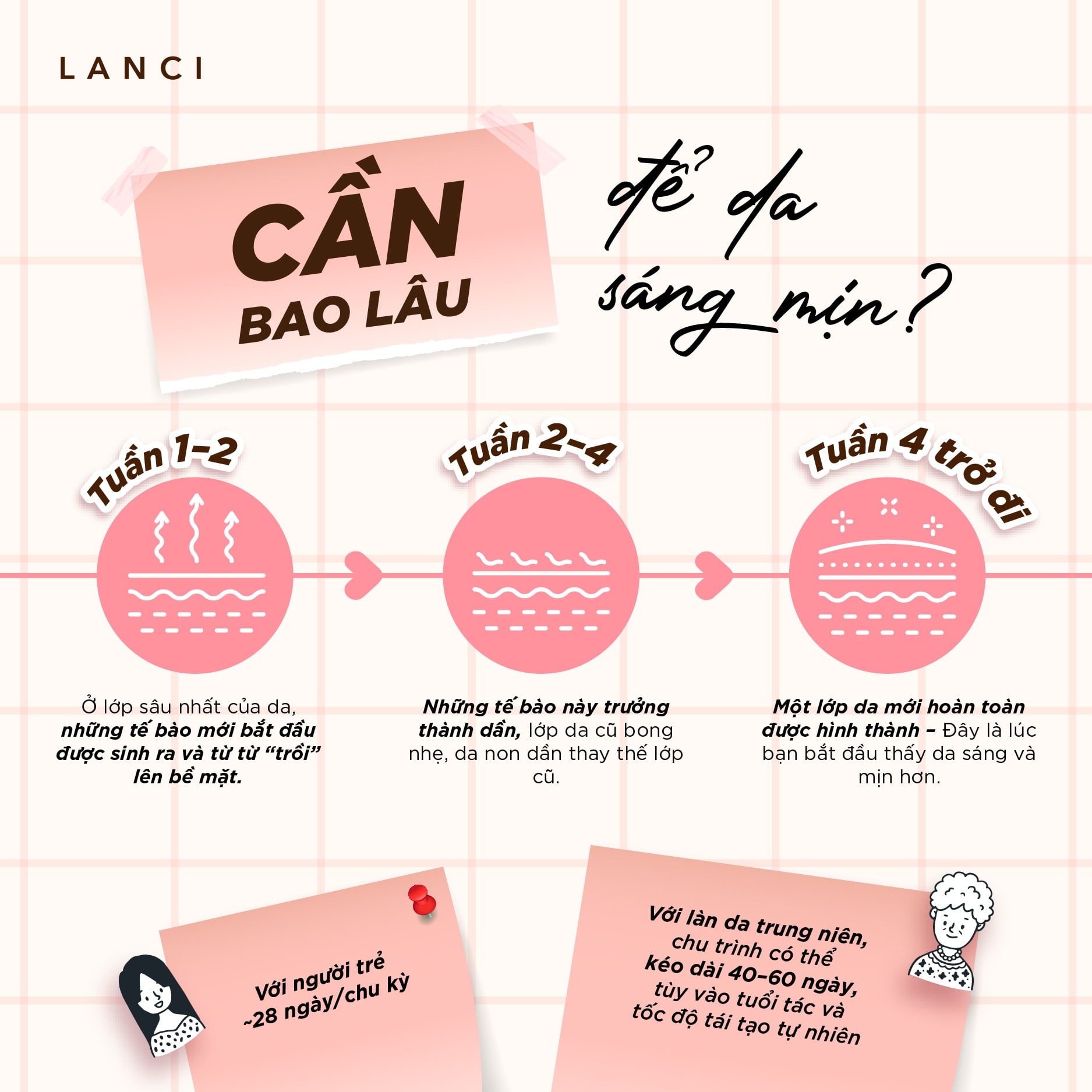 Dưỡng da bao lâu mới thấy hiệu quả? Hiểu đúng về chu trình tái tạo da