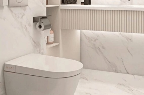 Smart toilets vs. traditional toilets: Which is the right choice?