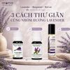 Lavender for Evening Relaxation: Evidence, Limits & Safety