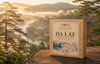 Vietnamese Essential Oils & Botanical Scents: A Guide to Vietnam