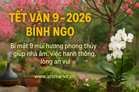 Đón Tết Bính Ngọ theo Vận 9: Bí quyết khởi đầu may mắn & năng lượng dương | Aroma