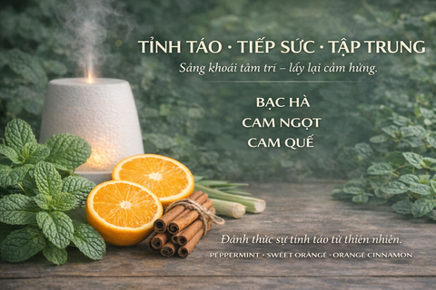 Bí quyết giúp tinh thần tập trung cao độ trong công việc & học tập | Focus Aroma