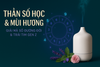 Thần Số Học & Mùi Hương: Giải Mã Số Đường Đời & Trái Tim Gen Z | Aroma Gen Z Edition™