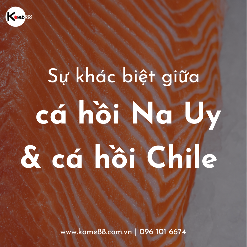 Sự khác biệt giữa cá hồi Na Uy và Cá hồi Chile là gì?