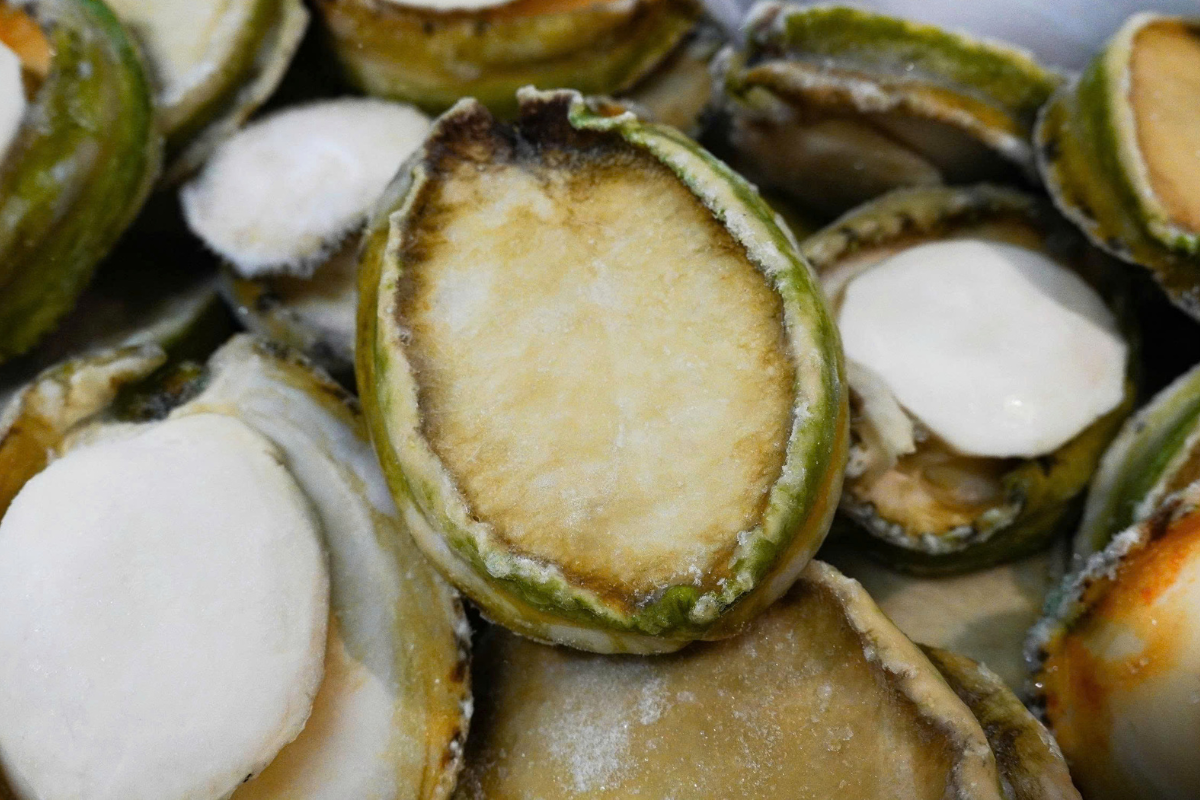 Bào ngư Size Đại