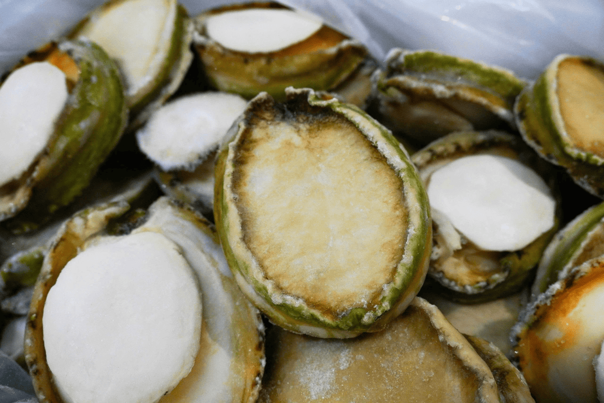Bào ngư úc size đại