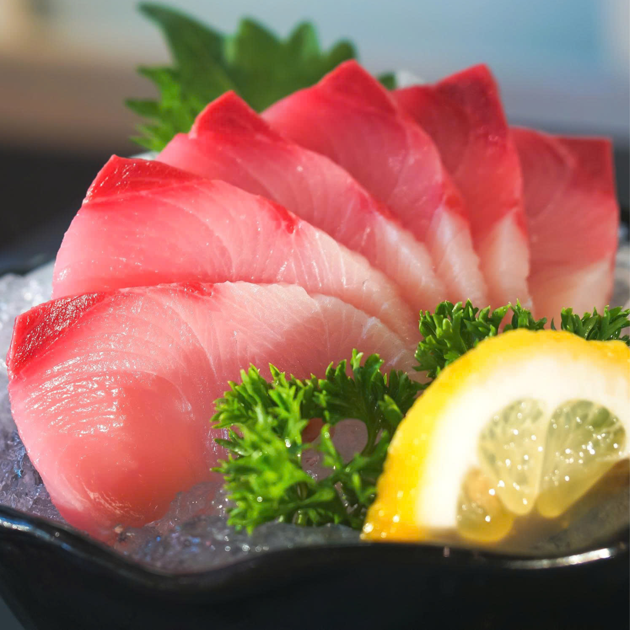 Hamachi Fillet