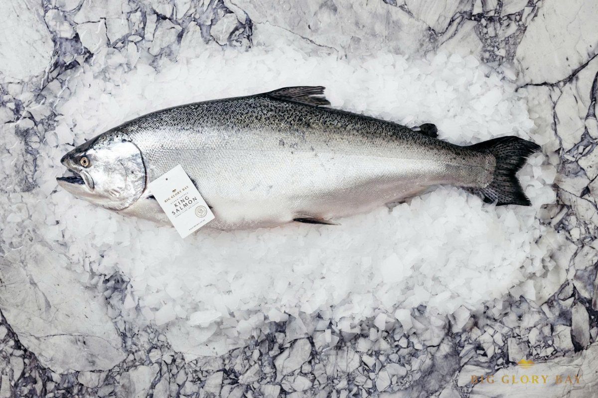 King Salmon